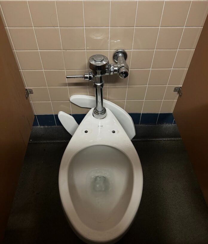 Broken toilet seat in the second floor bathrooms. Courtesy of our glorious editor